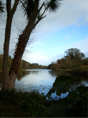 Temple Water