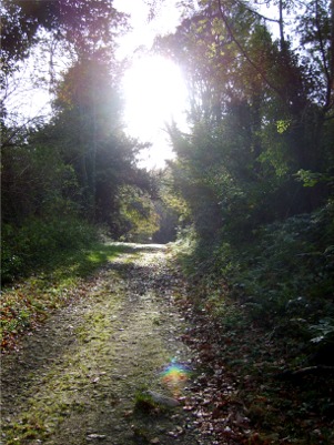 Lough-side walk