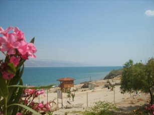 Dead Sea